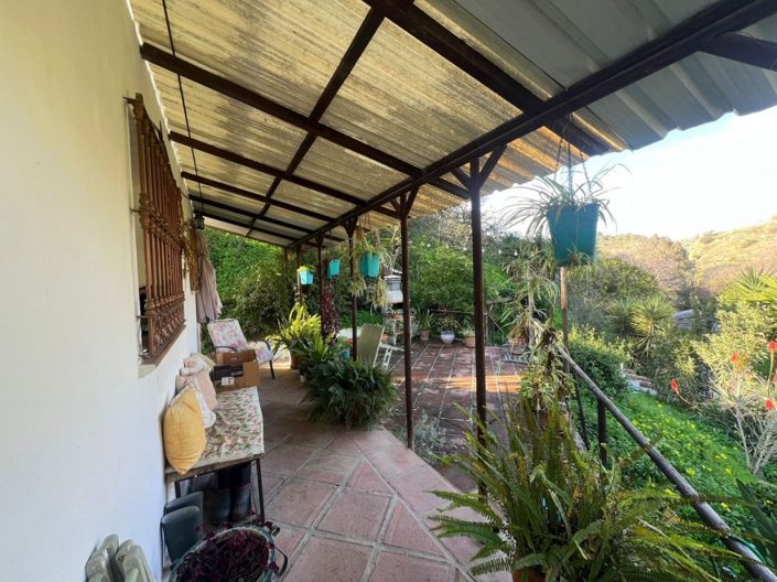 Image No.5-Finca de 4 chambres à vendre à Coin