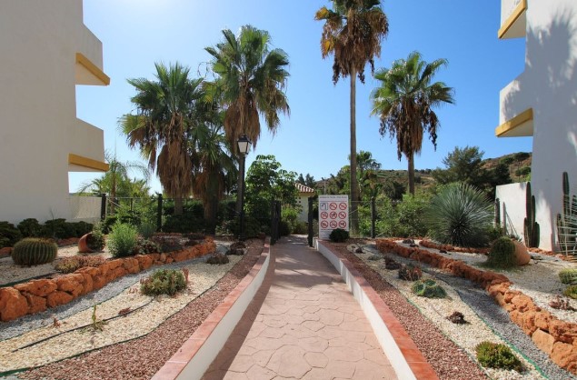 Image No.18-3 Bed Apartment for sale