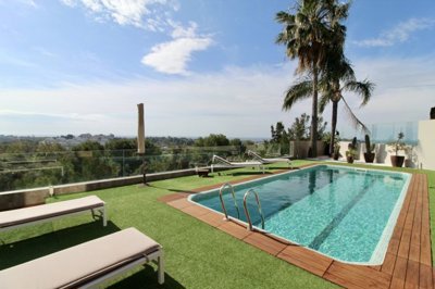 Garden, pool area