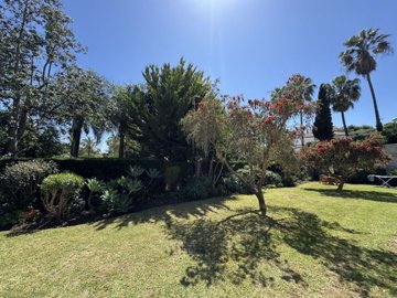 garden 3