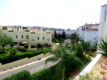 enhanced_IMG_7335