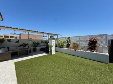 garden (2)