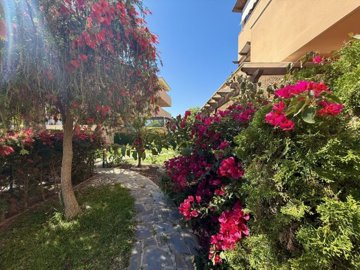 garden (1)