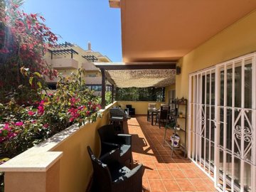 terrace (4)