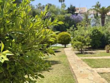 garden (2)