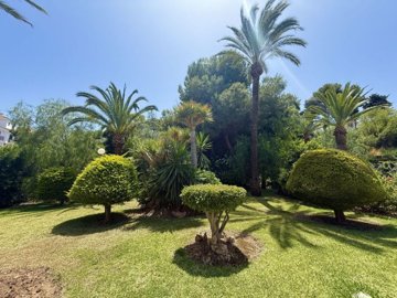 garden (5)