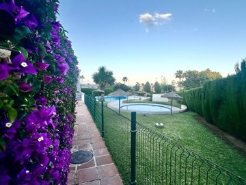 pool (1)