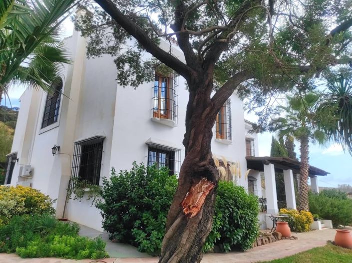 Image No.11-5 Bed Hotel for sale