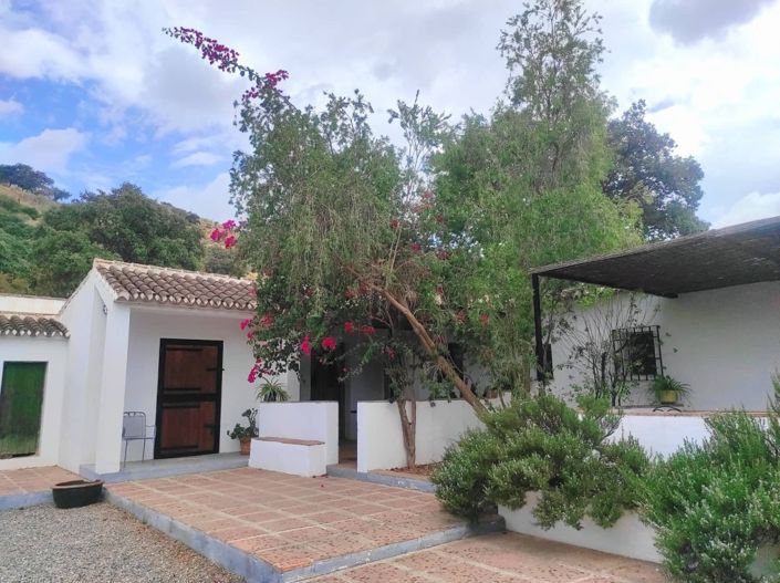 Image No.12-5 Bed Hotel for sale