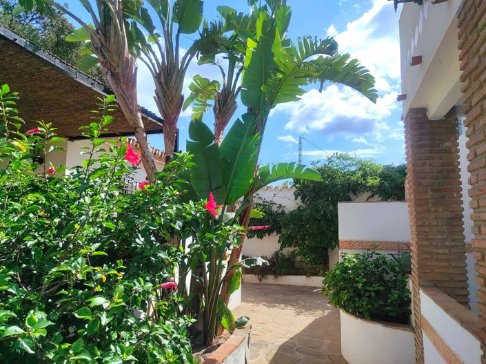 Image No.19-5 Bed Hotel for sale