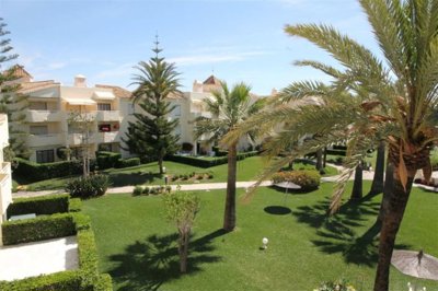 garden (3)