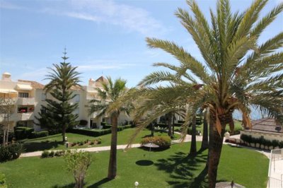 garden (2)