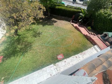 garden (1)