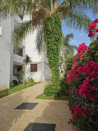 b98le8d7m9k3degpefzhs0lif8u4xzvzhwxtmggyekxx9