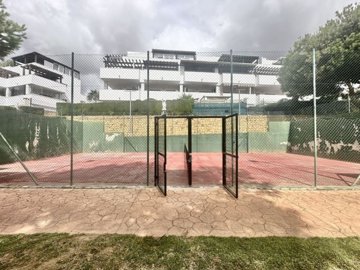 community (1)