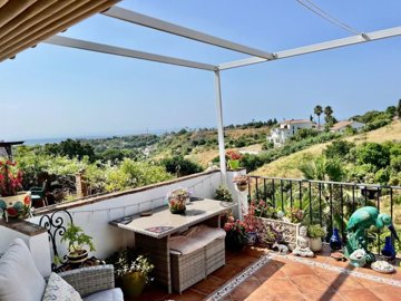 terrace