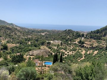 Views from the plot