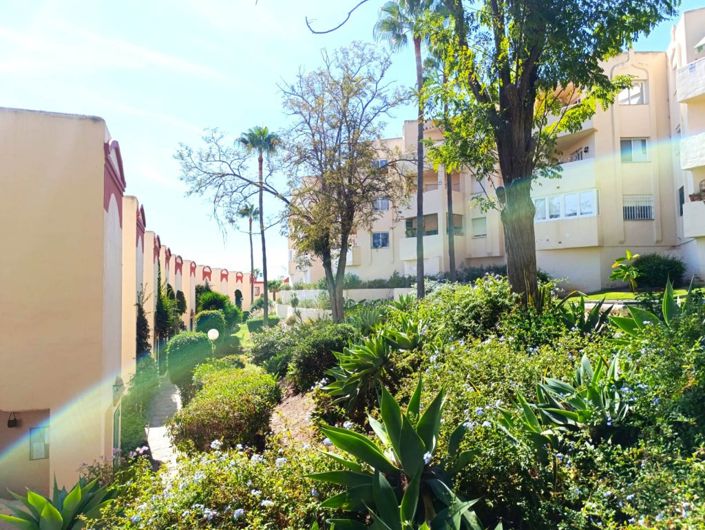 Image No.1-Appartement de 2 chambres à vendre à Riviera del Sol