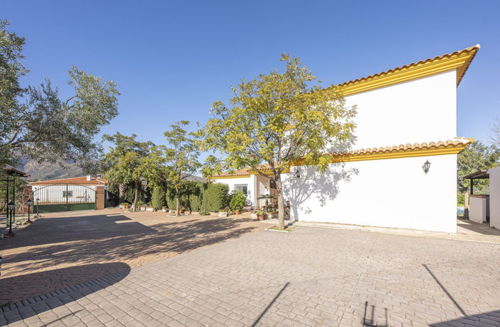 Image No.19-4 Bed Villa for sale