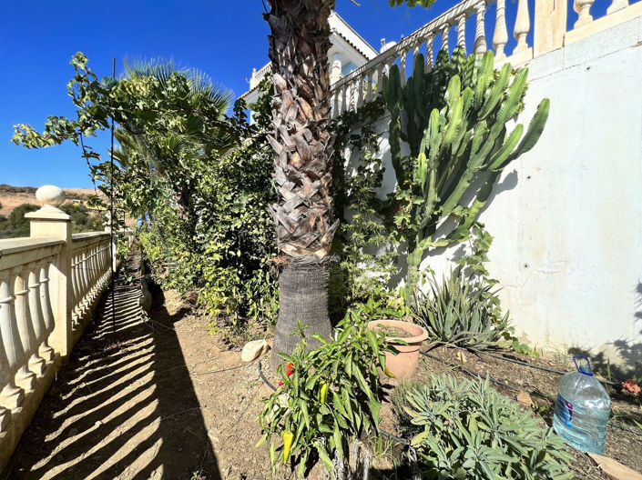 Image No.11-5 Bed Villa for sale