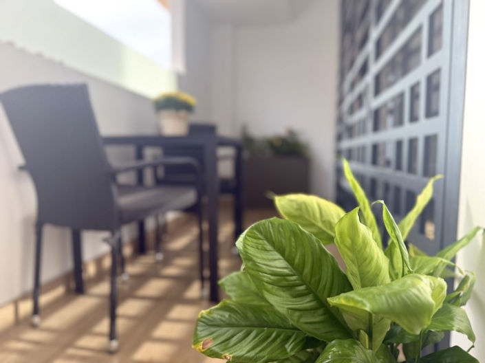 Image No.11-1 Bed Apartment for sale