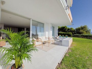terrace (4)
