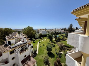 views (2)
