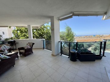 terrace (2)