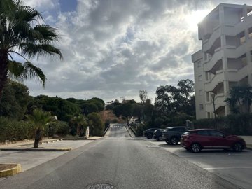 community (1)