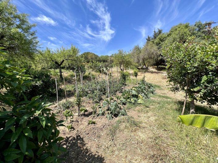 Image No.14-2 Bed Villa for sale