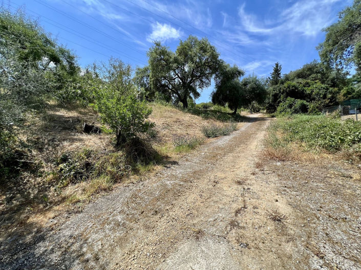 Image No.18-2 Bed Villa for sale