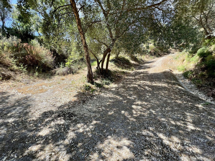 Image No.19-2 Bed Villa for sale