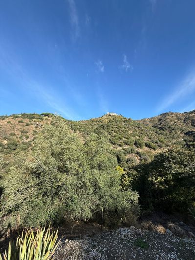 Image No.17-3 Bed Finca for sale