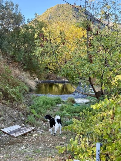 Image No.19-3 Bed Finca for sale