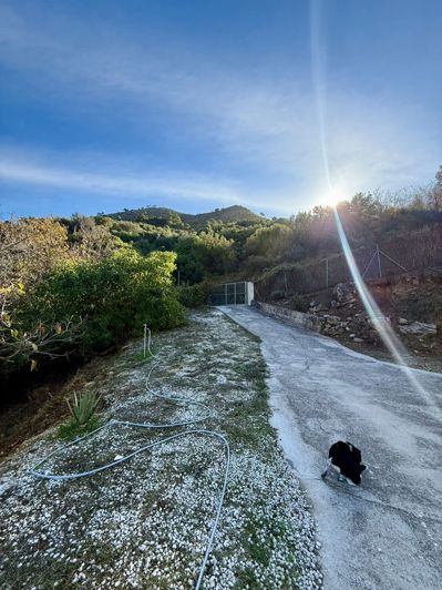 Image No.3-3 Bed Finca for sale