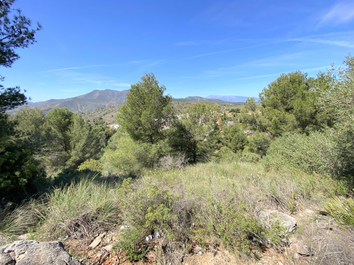 Image No.10-Plot for sale