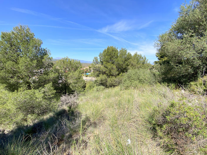 Image No.11-Plot for sale