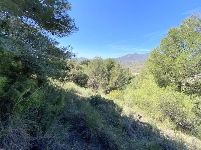 Image No.13-Plot for sale