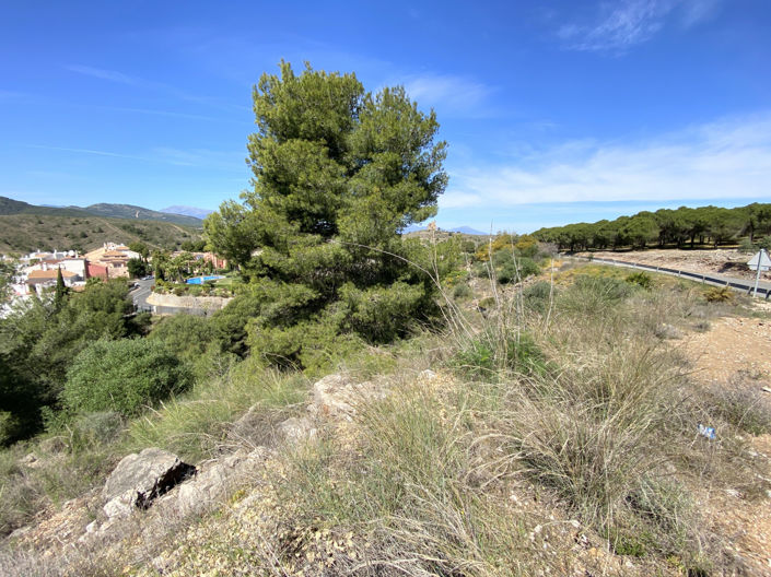 Image No.9-Plot for sale