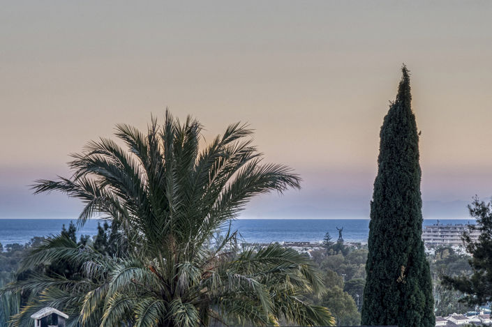 Image No.40-5 Bed Duplex for sale