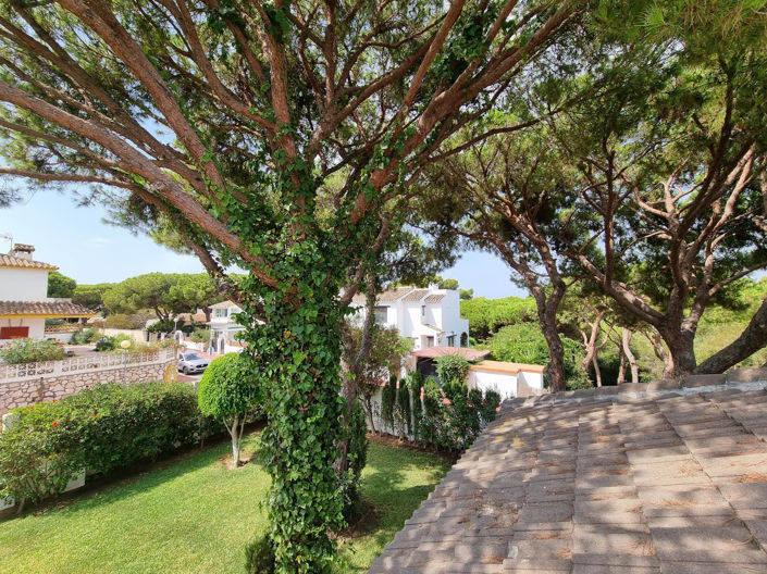 Image No.20-3 Bed Villa for sale