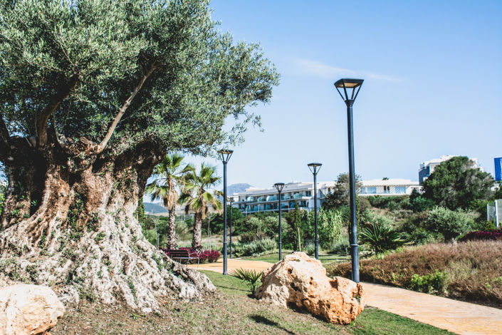 Image No.22-2 Bed Penthouse for sale