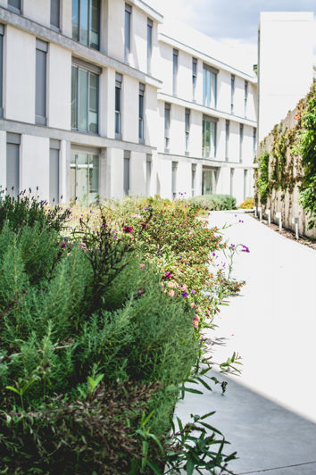 Image No.25-2 Bed Penthouse for sale