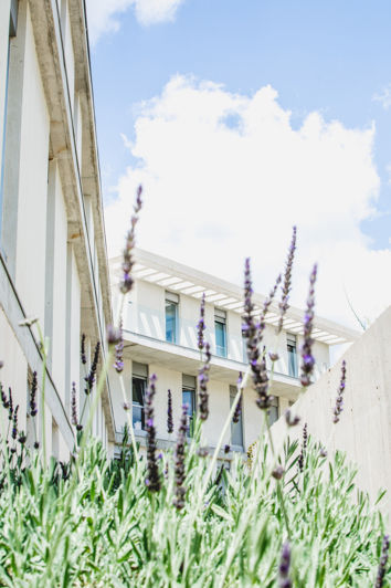 Image No.26-2 Bed Penthouse for sale