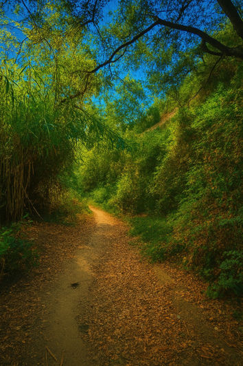 Image No.37-Villa de 4 chambres à vendre à Estepona