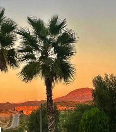 b98le8d7m9k3degpefzhs0lif8u4xzvzhwxtmggyekxx9