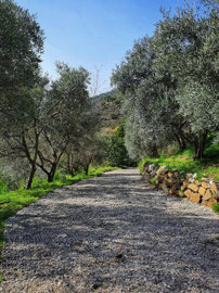 b98le8d7m9k3degpefzhs0lif8u4xzvzhwxtmggyekxx9