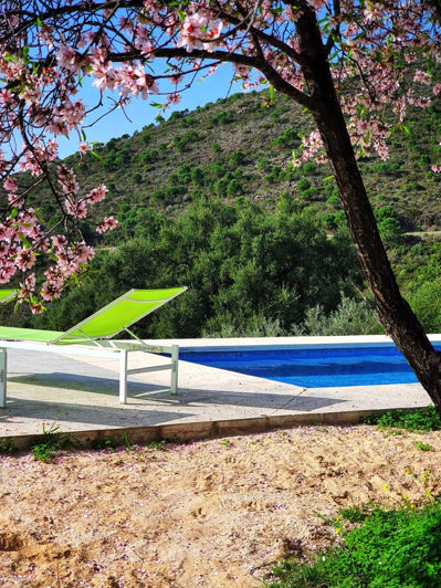 Image No.8-5 Bed Finca for sale