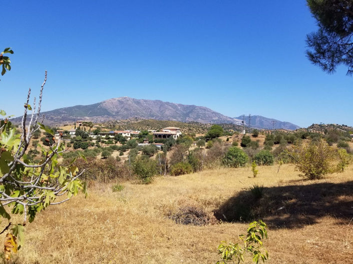 Image No.24-4 Bed Finca for sale