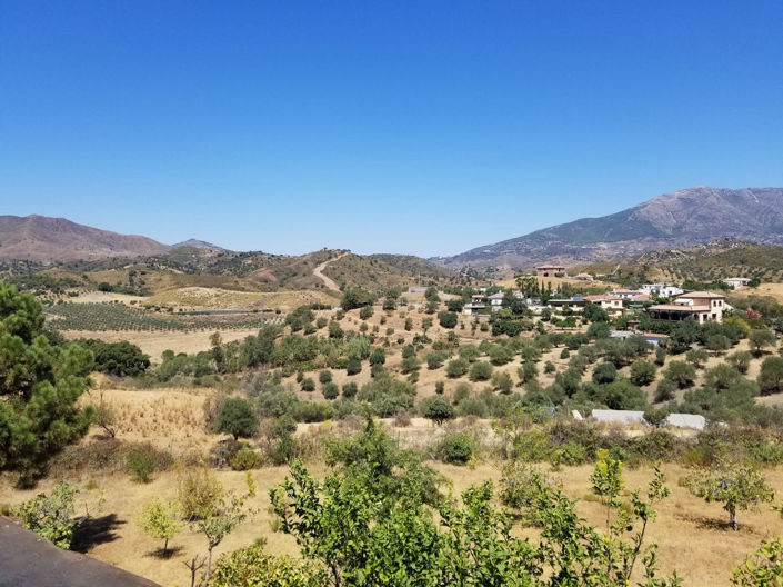 Image No.26-4 Bed Finca for sale